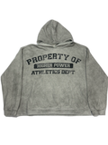 HP Athletics Dept. Hoodie